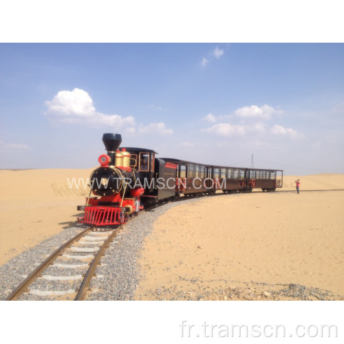 Locomotive du trafic sur la voie du désert